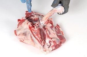 Meat Cut Spec Step 7